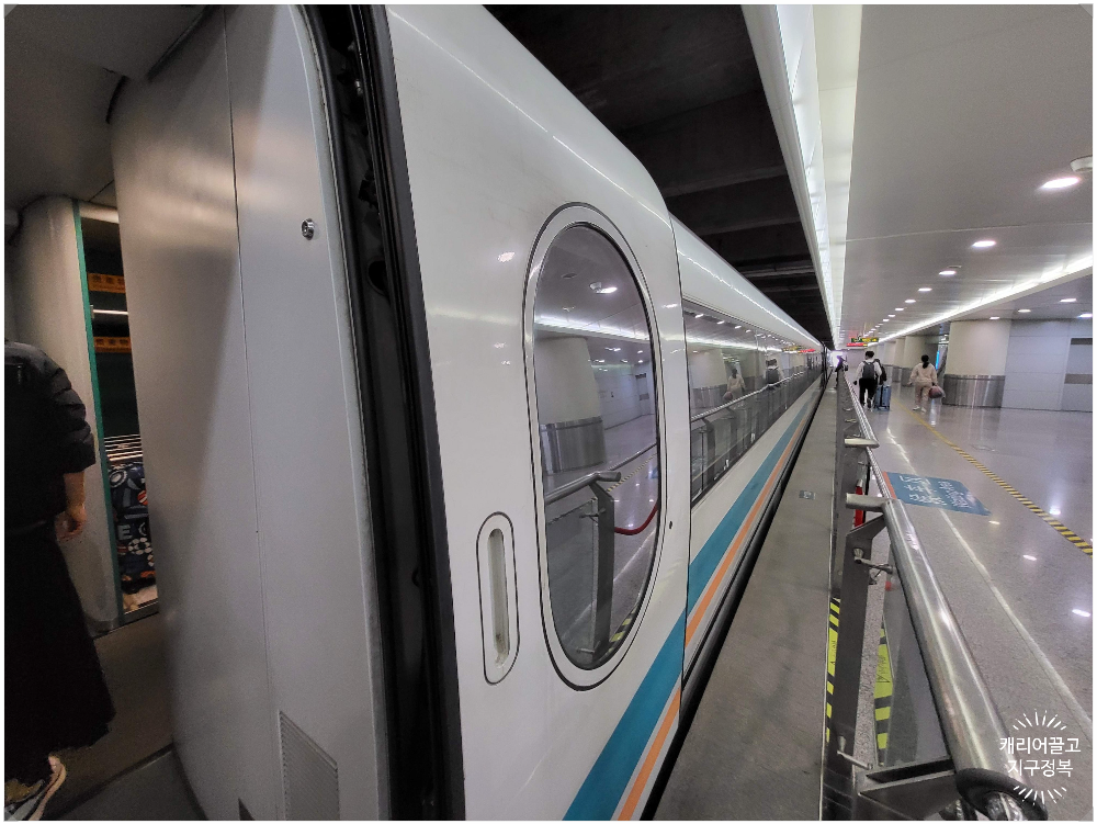 상해 푸동공항에서 시내 들어가는 방법