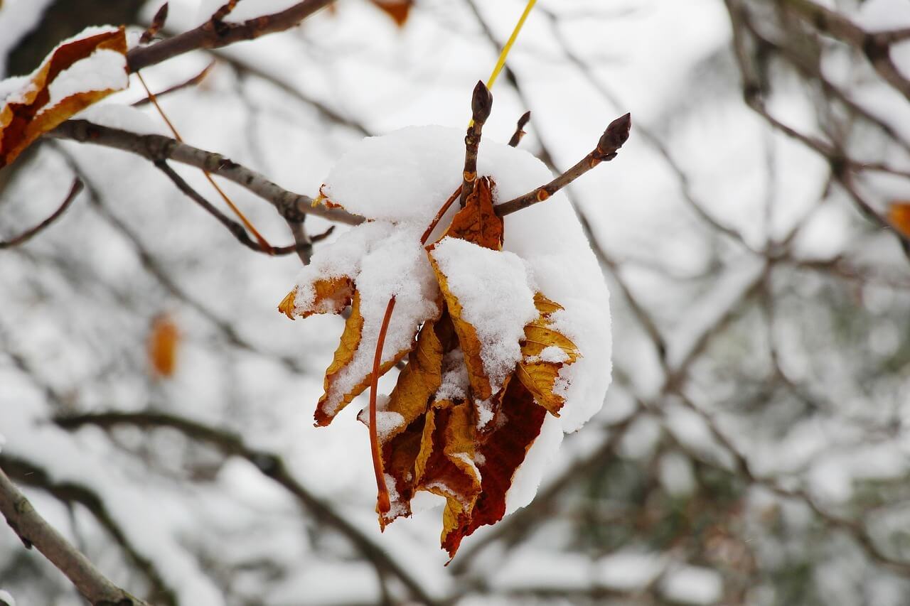 2025 소설 날짜 의미