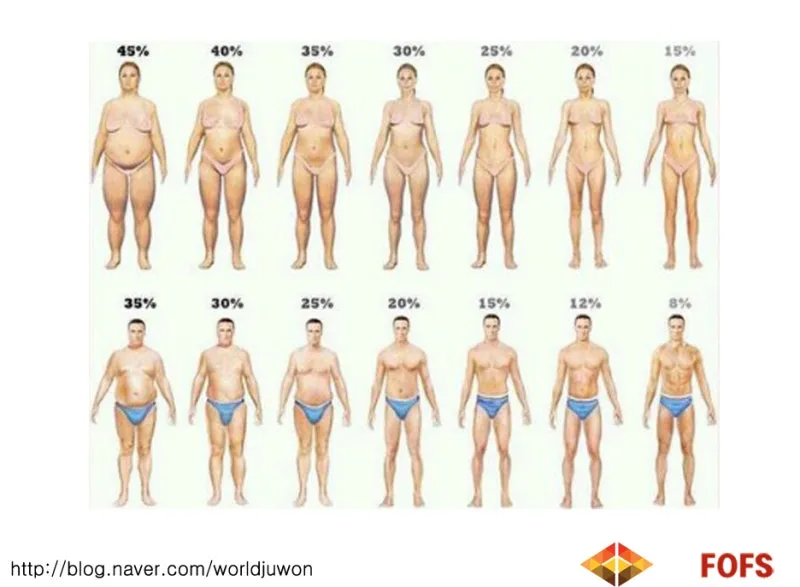 40대 여자 체지방률 평균 20~25% 계산 방법 측정법 다이어트_1