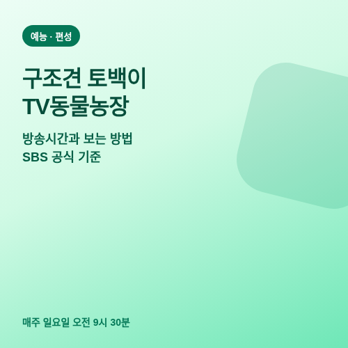 구조견 토백이 TV동물농장 방송시간과 SBS에서 보는 방법 썸네일
