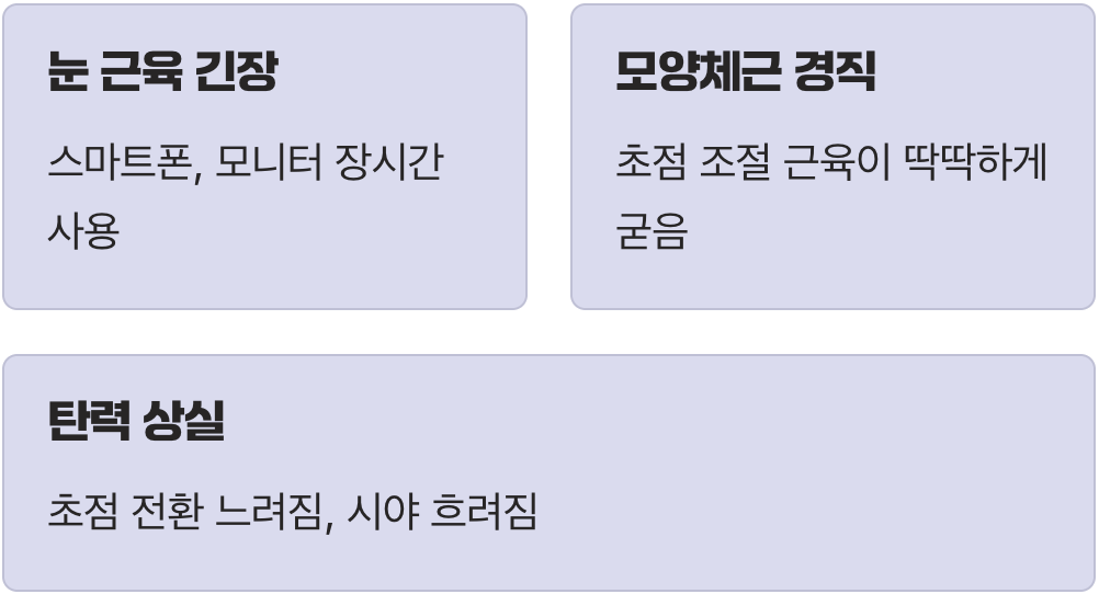 우리 시야가 흐려지는 진짜 이유