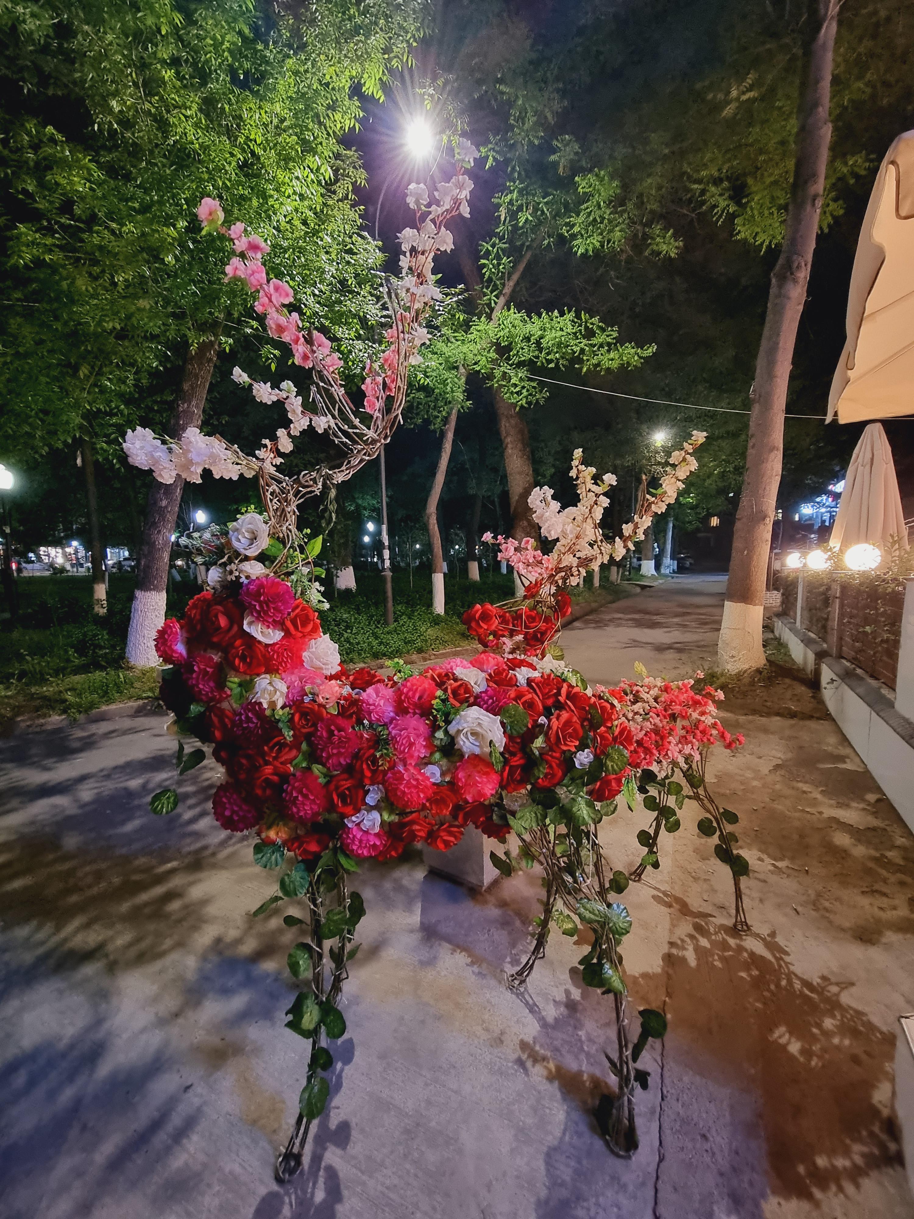 산책하면서 본 꽃사슴