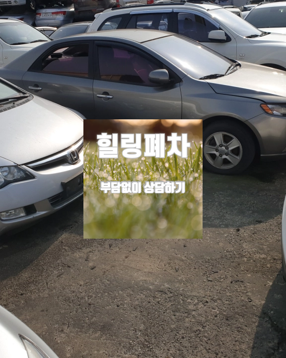 무안군 상속차폐차 말소 지연 원인 점검