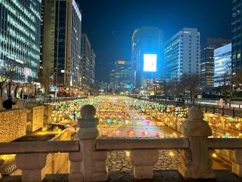 명동 신세계백화점 크리스마스 점등 정보 &amp; 서울 야경 명소