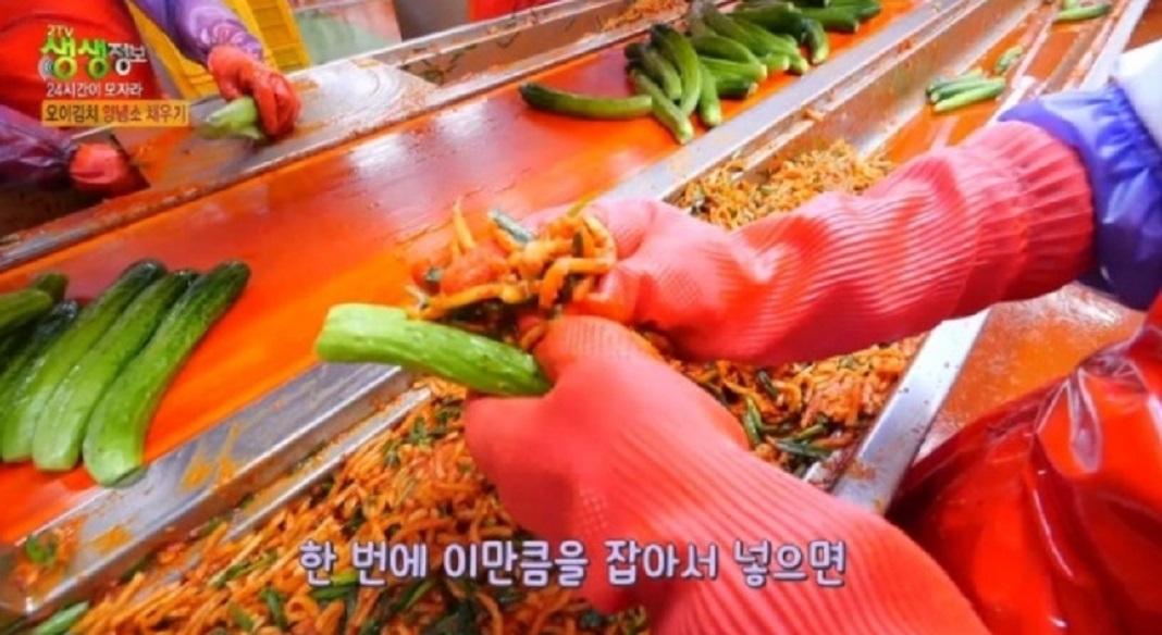 극한직업-여름김치-파주-오이소박이-도미솔김치
