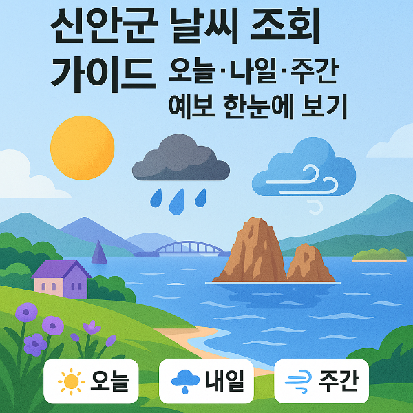 신안군 날씨