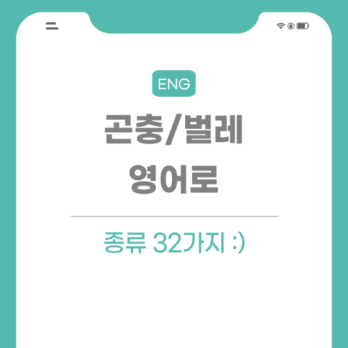 곤충-벌레-포스팅-썸네일