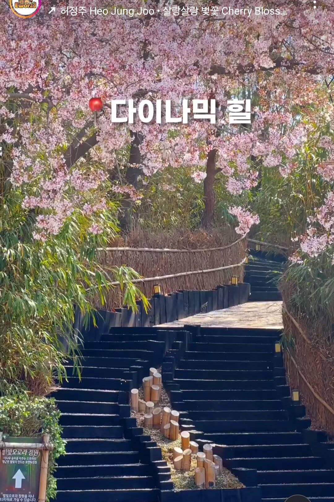 이월드 블라썸 