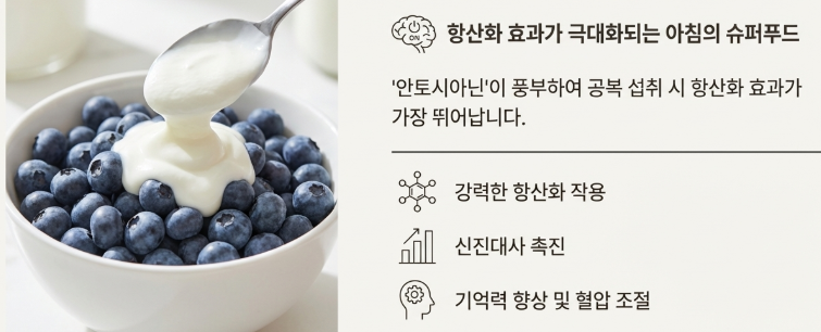 블루베리 (두뇌를 깨우는 항산화 스위치) 이미지 그림