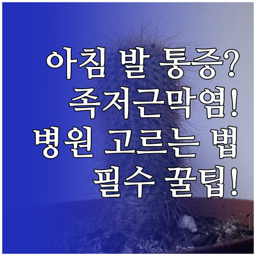 아침에 느끼는 발뒤꿈치 통증 원인과 ..