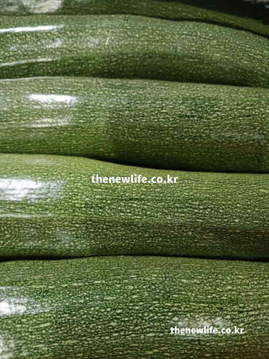 애호박 효능 위장 보호 펙틴 성분