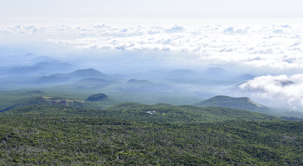 7월 한라산 특별 산행 예약 백록샘