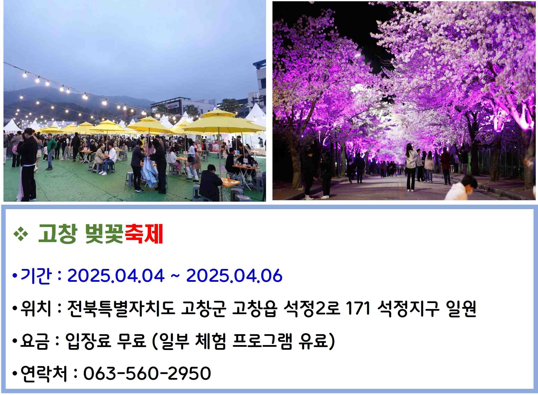 고창 벚꽃축제