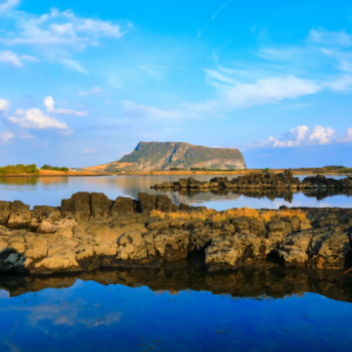 2025년 새해 일출 명소