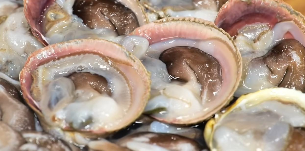 6시내고향 맛집 홍성전통시장 새조개