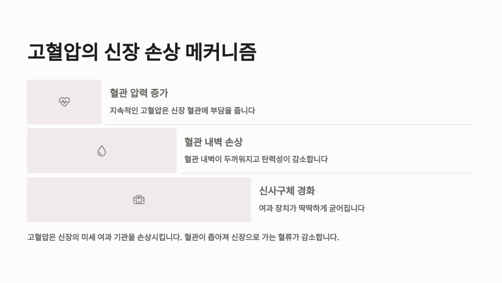 고혈압의 신장 손상 메커니즘