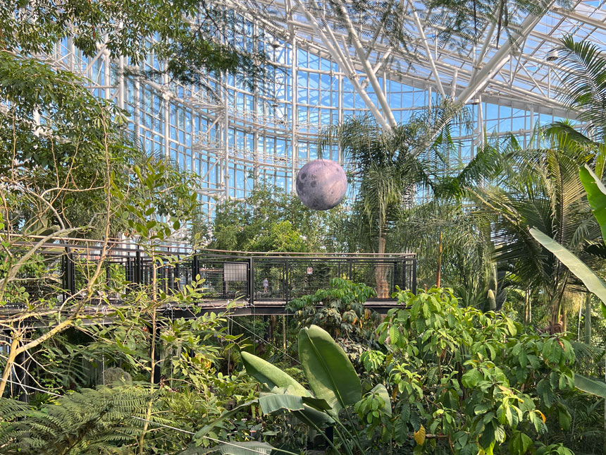 국립세종수목원 열대온실