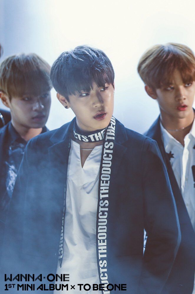 워너원 활동