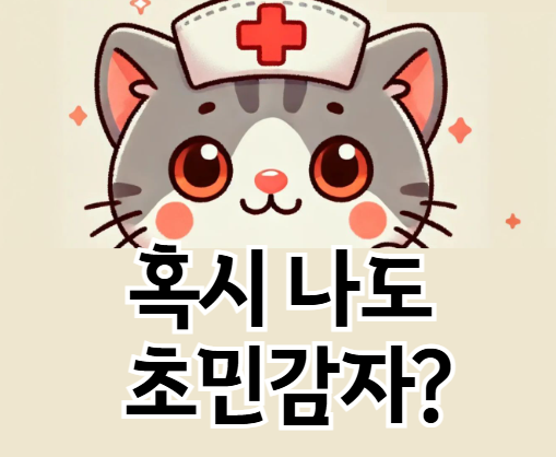 초민감자(HSP) 테스트: 당신이 인구 20%에 속하는 민감한 사람인지 확인하기