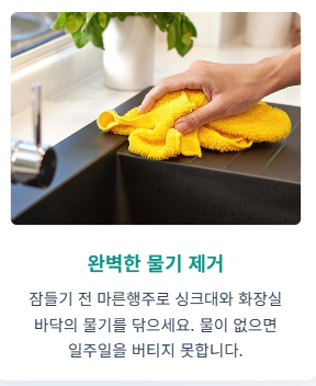 바퀴벌레 퇴치방법