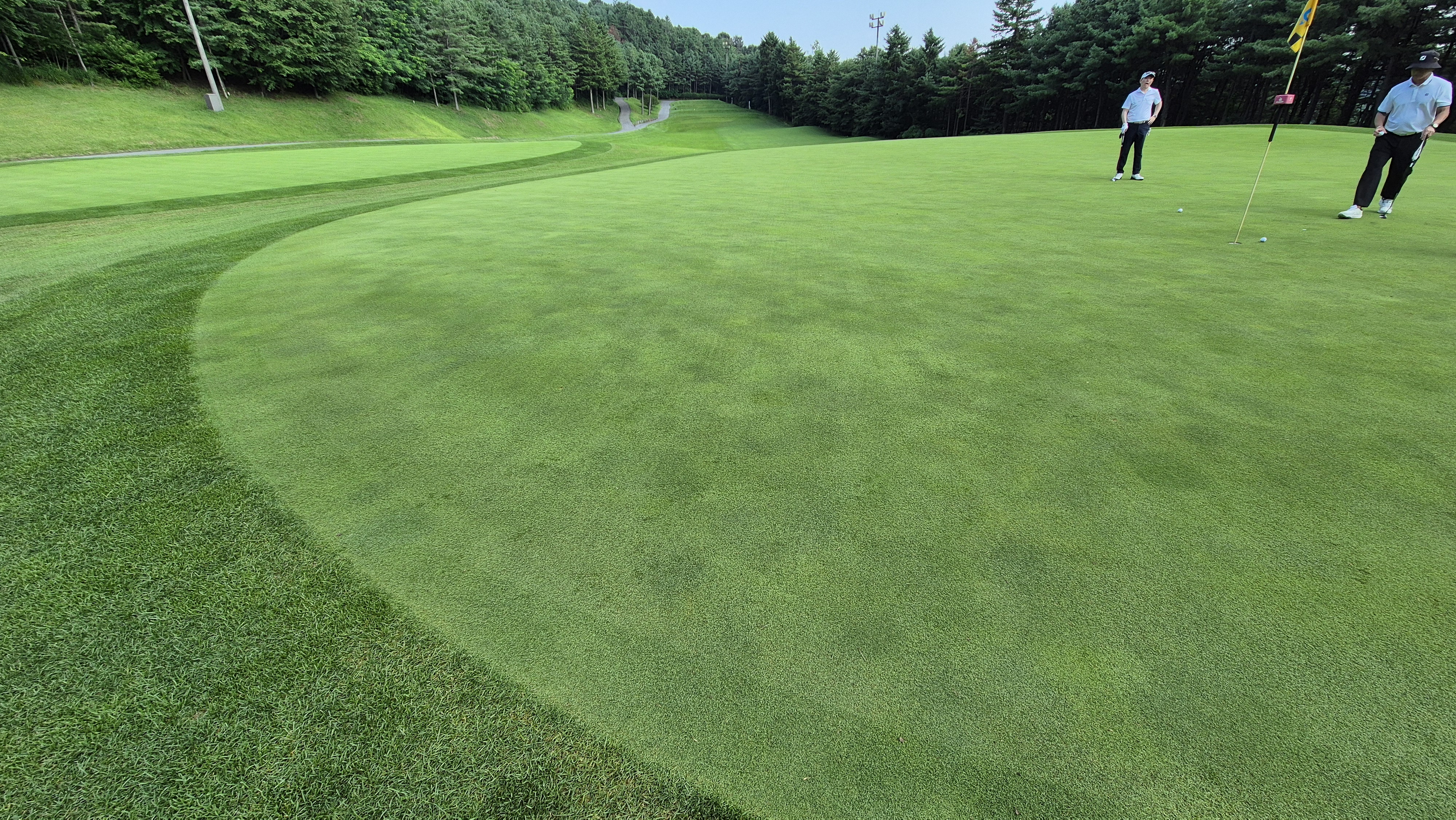 한성cc 오렌지-그린 코스 라운드 후기