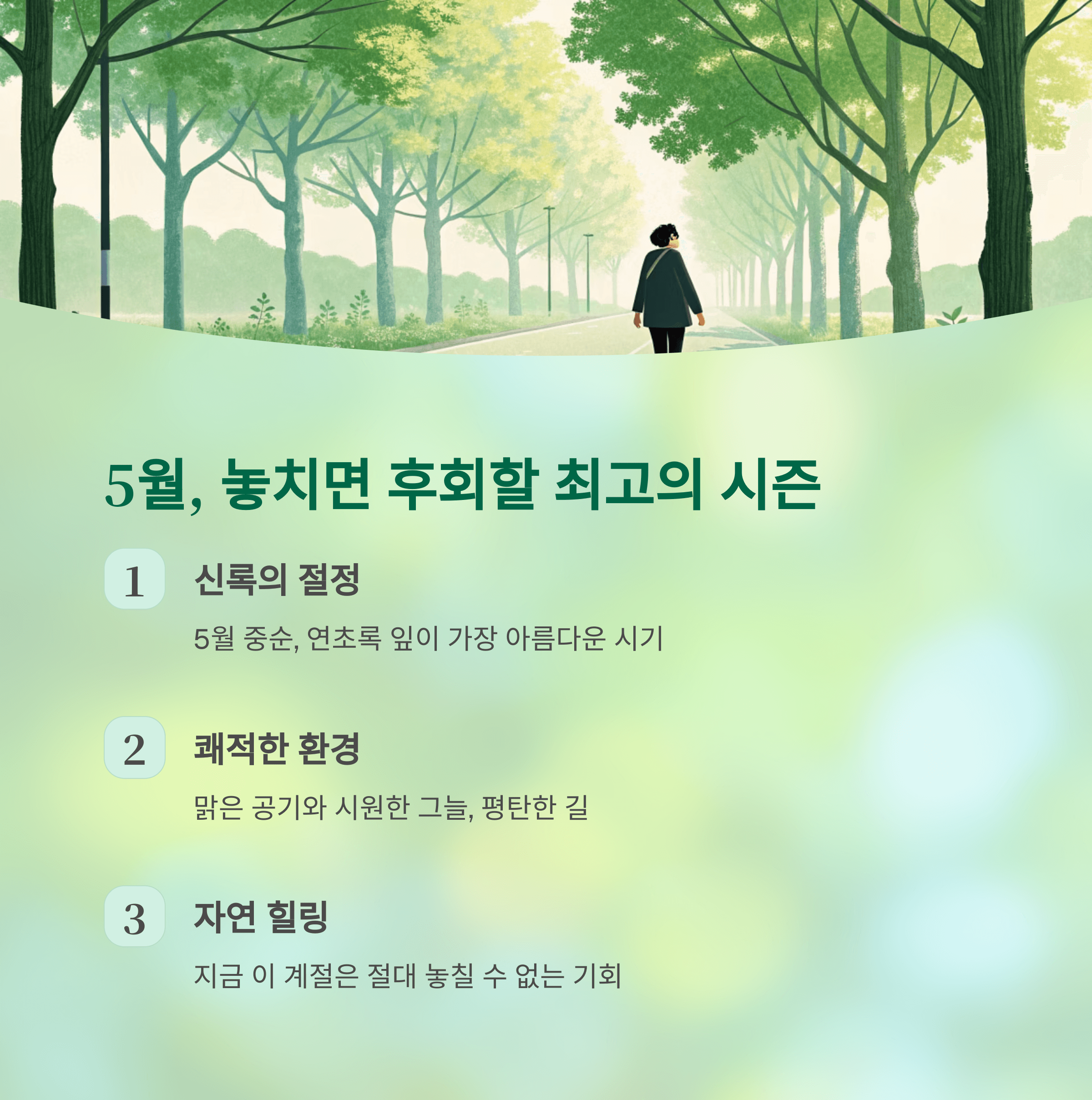 담양 메타세쿼이아길, 걷기 좋은 계절 지금이 찬스