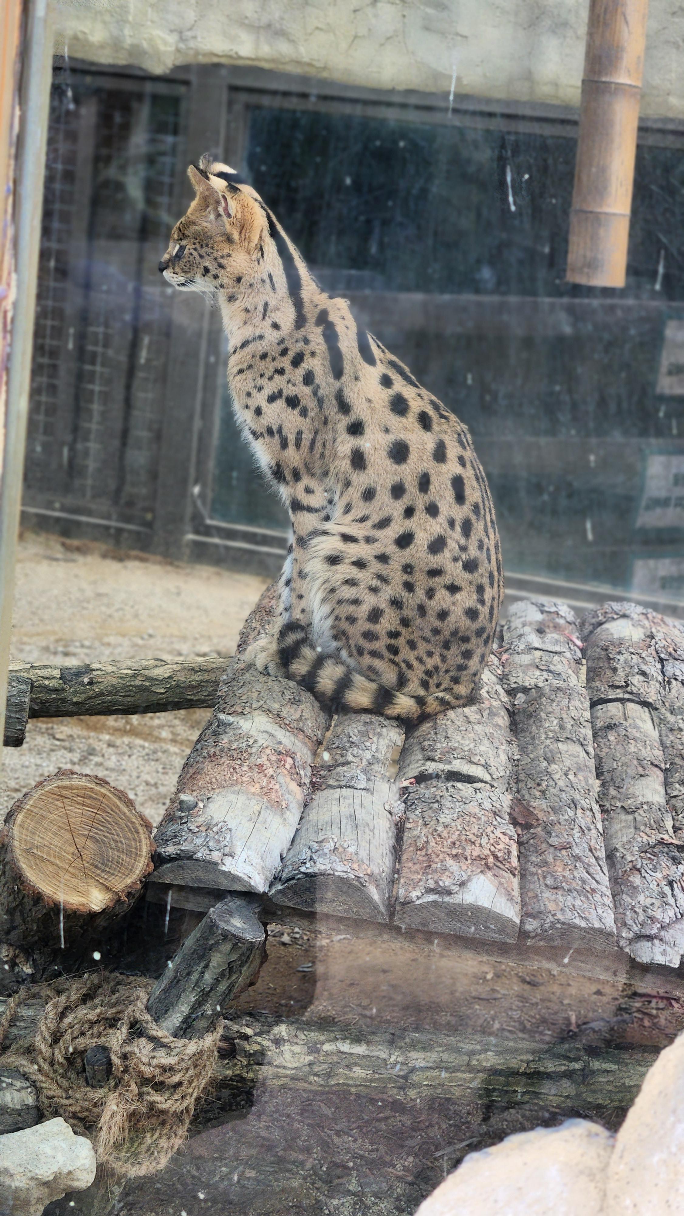 대구-네이처파크