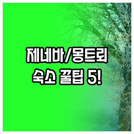 스위스 제네바 럭셔리 호텔부터 몽트뢰..