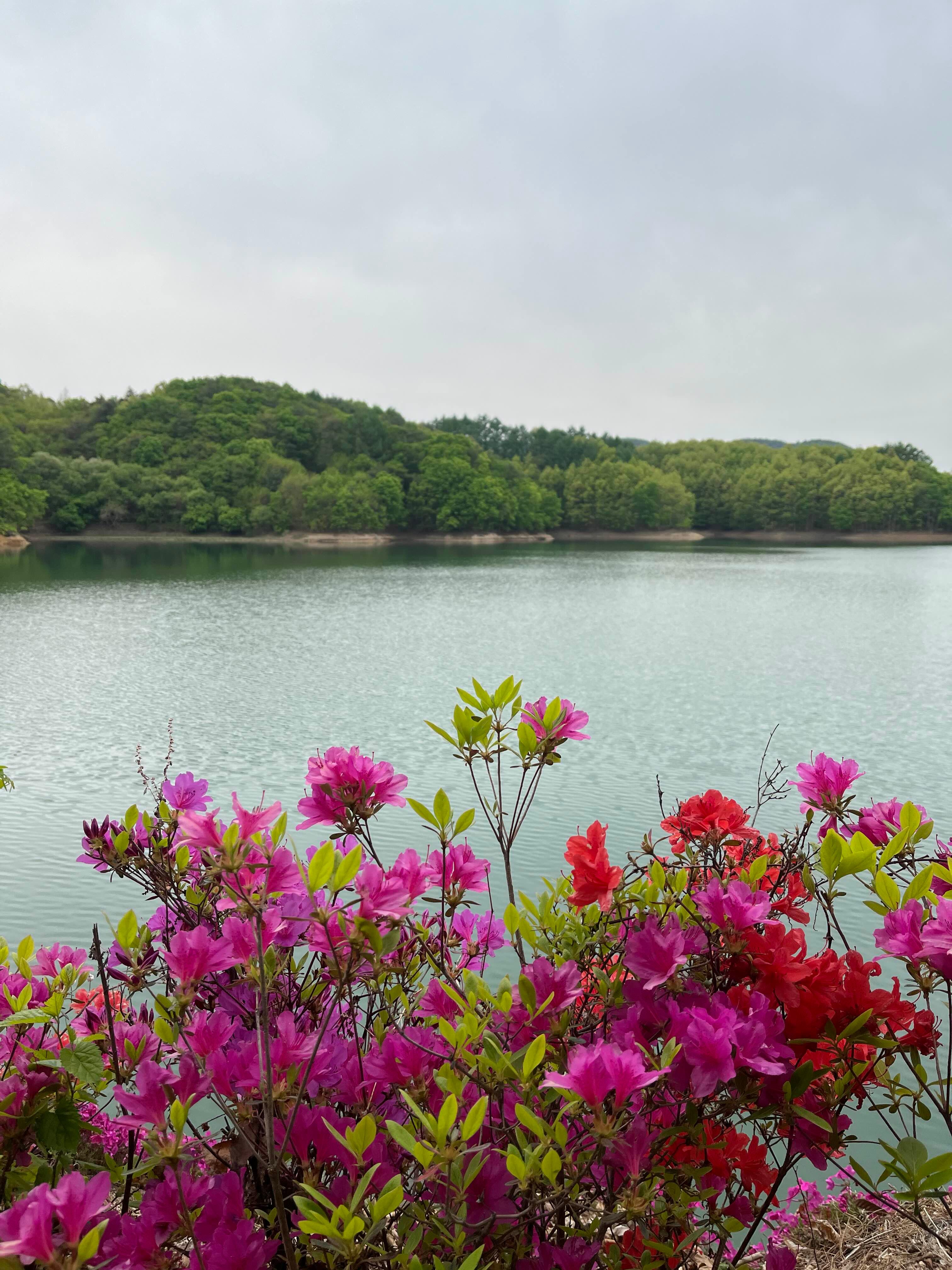 횡성호수길 5구간 산책로 사진