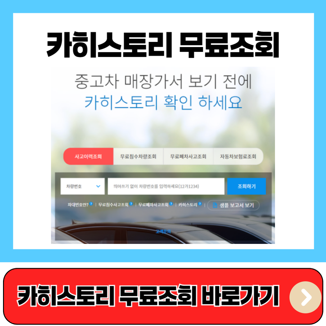 카히스토리 무료조회 바로가기