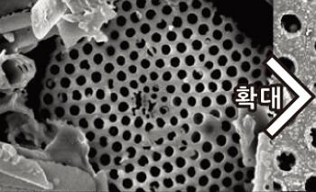 규조토 발매트 버리기