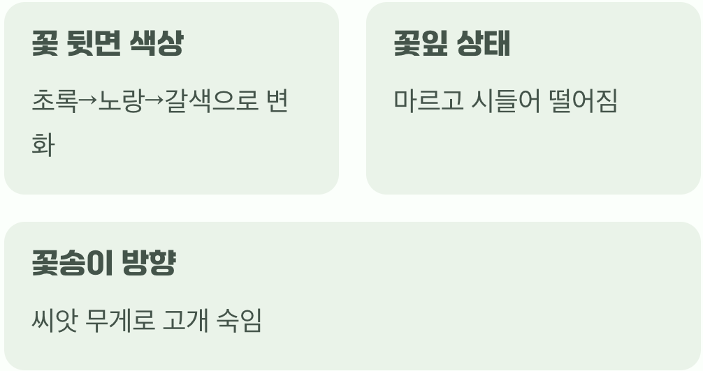 수확 시기를 알리는 자연의 신호
