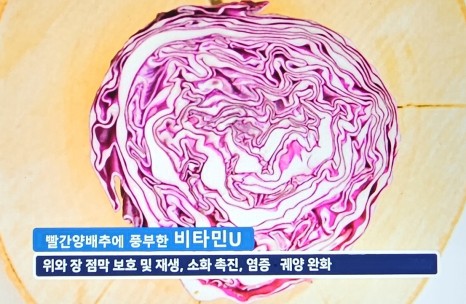 체했을때 증상 체했을때 지압법, 먹으면 좋은 음식 빨간양배추 요리