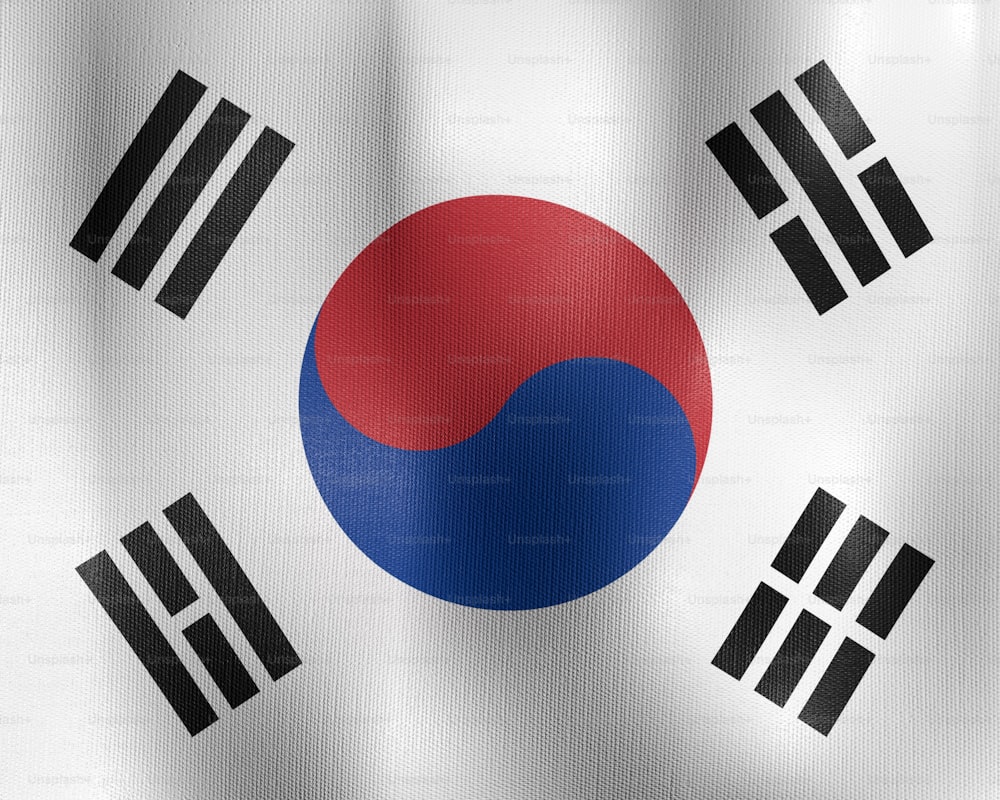 한국 선거 관련 이미지