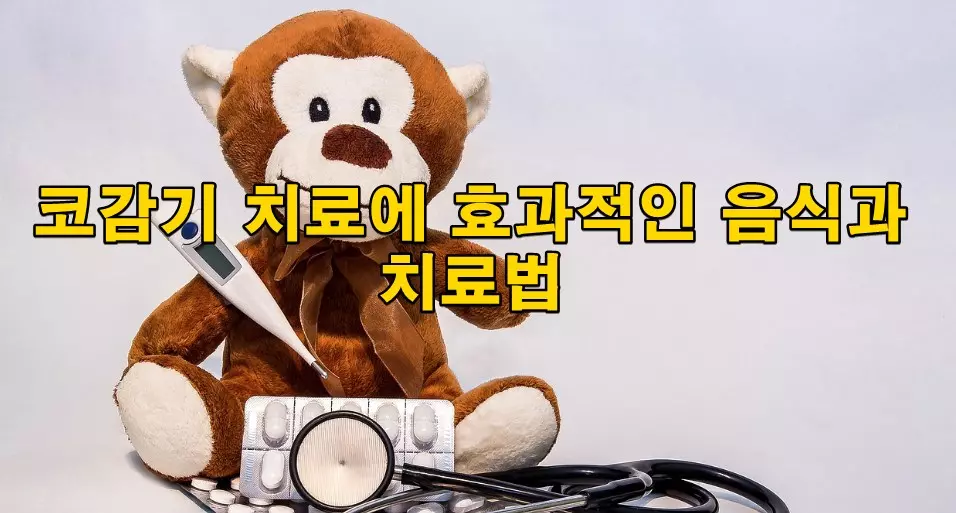 코감기 치료에 효과적인 음식과 치료법