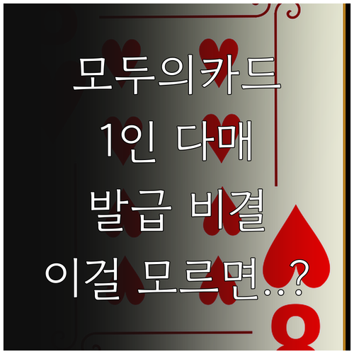 모두의카드 1인 다매 발급 원칙과 실..