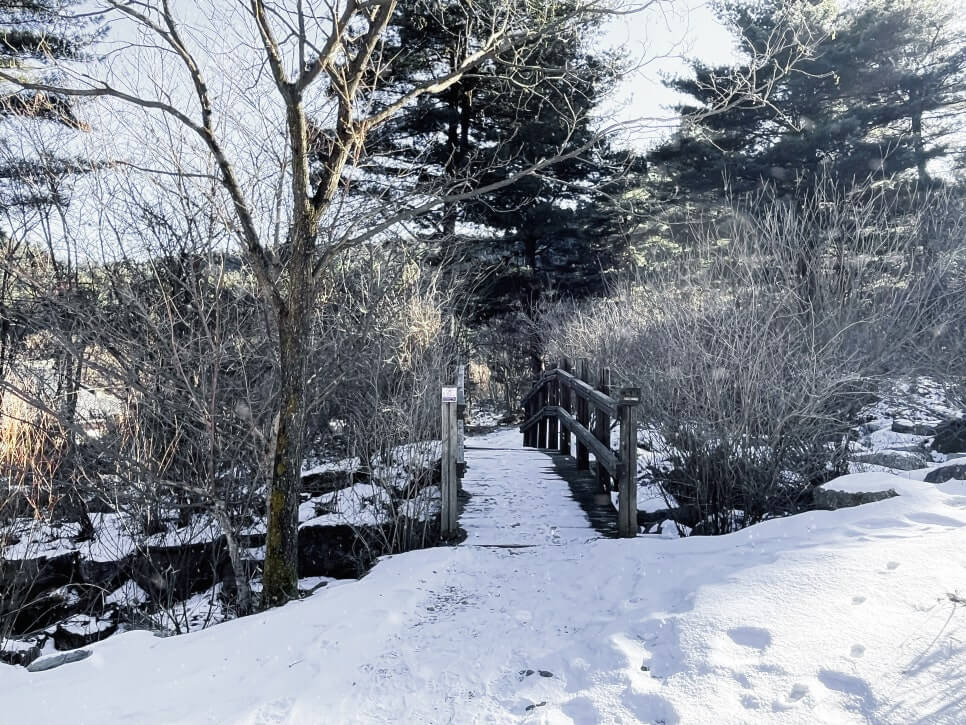산림청 명품숲길 겨울 트레킹 : 가평 잣향기 피톤치드길 코스&middot;주차&middot;팁