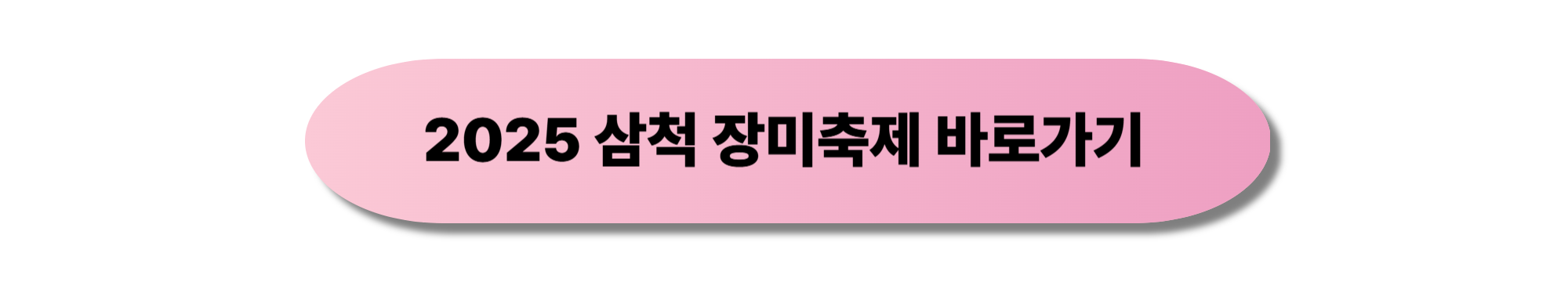 2025 삼척 장미축제 바로가기