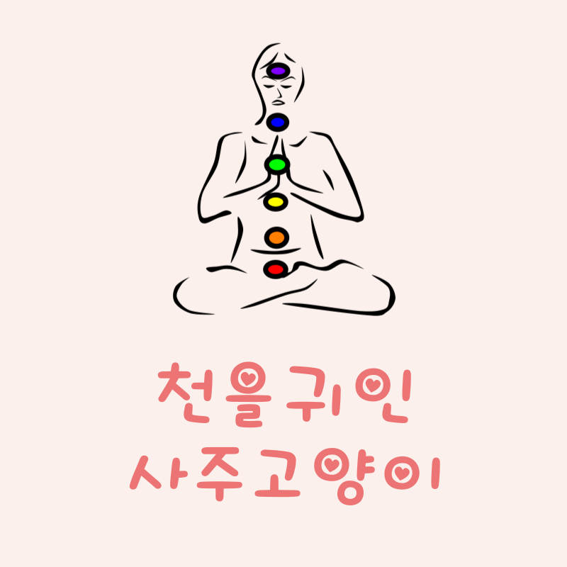천을귀인이란