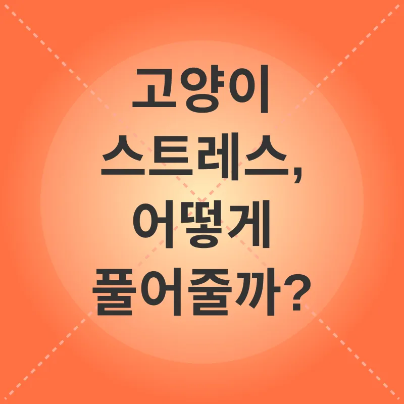 고양이 스트레스 관리_2