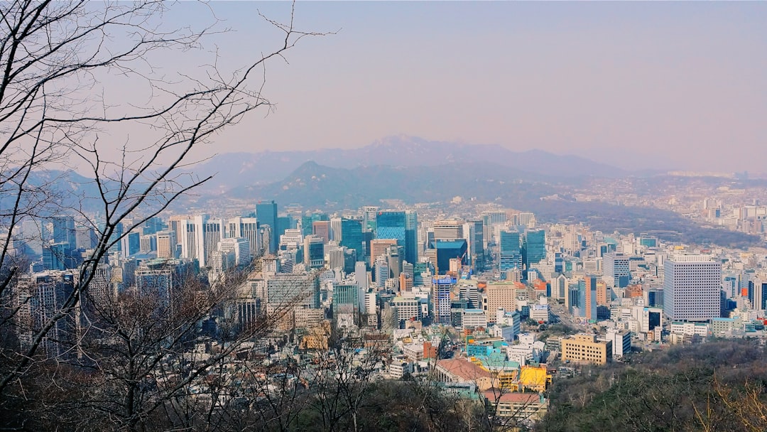 Seoul Pay