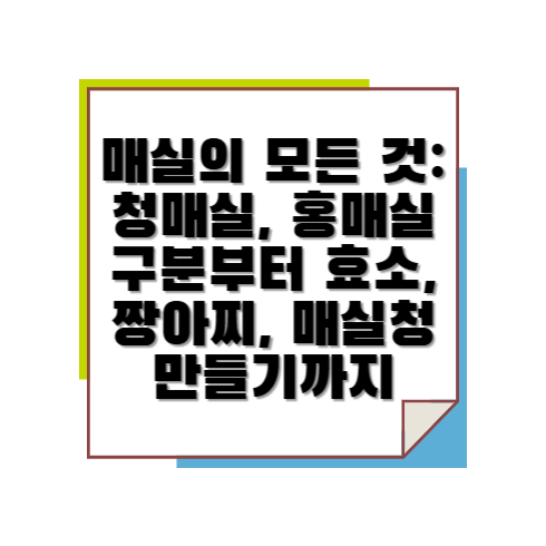 매실의 모든 것: 청매실, 홍매실 구분부터 효소, 짱아찌, 매실청 만들기까지