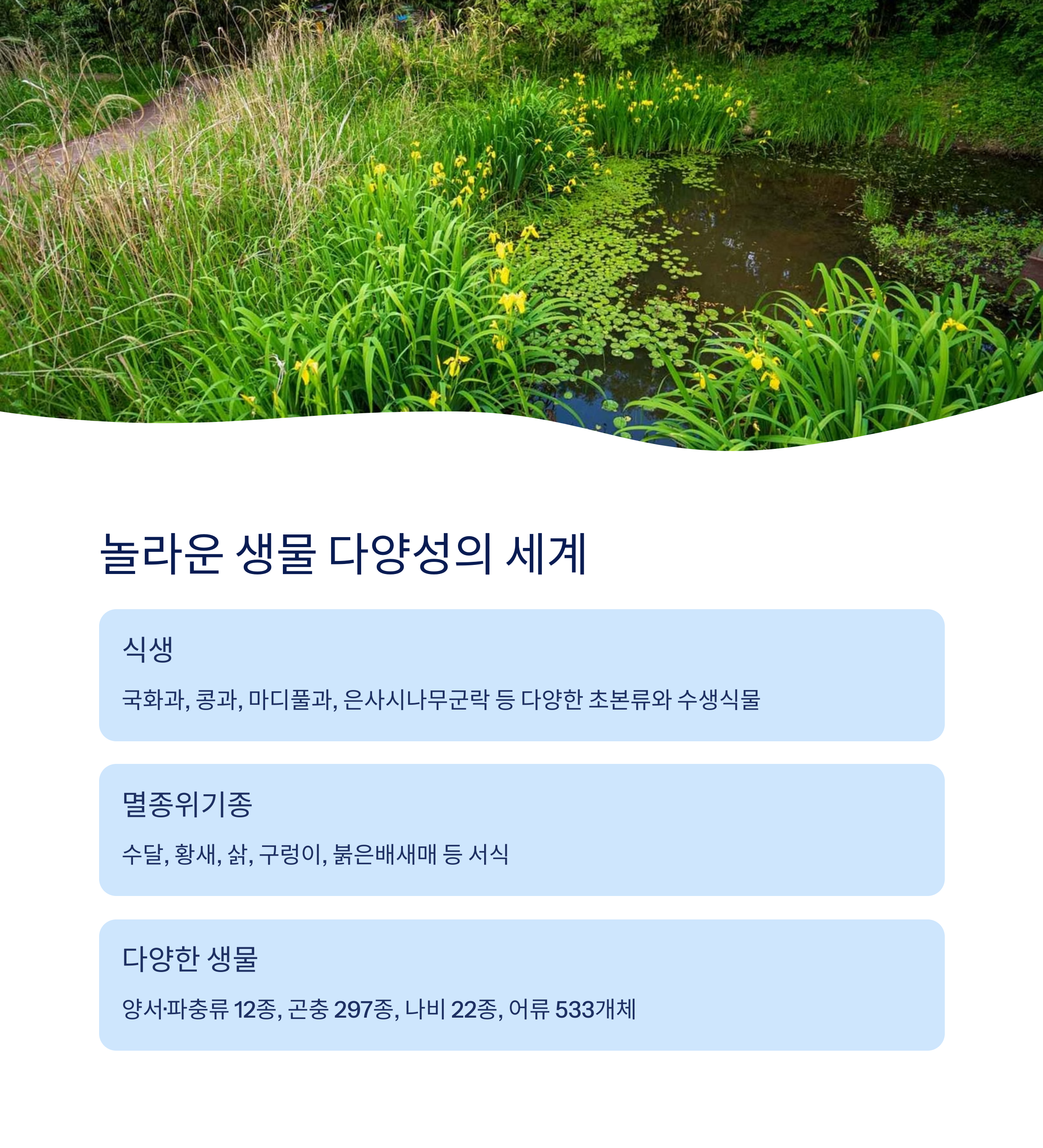 놀라운 생물 다양성의 세계