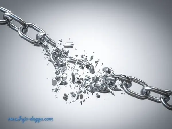 자동차보험 환입제도 활용하여 보험료 할증 방지하는 완벽 가이드