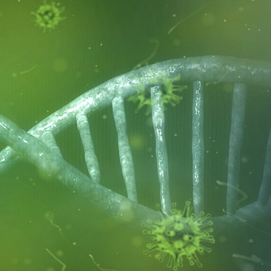 북한 코로나 상황 - 김정은 승리 선언, 코로나 감염원은 한국 주장