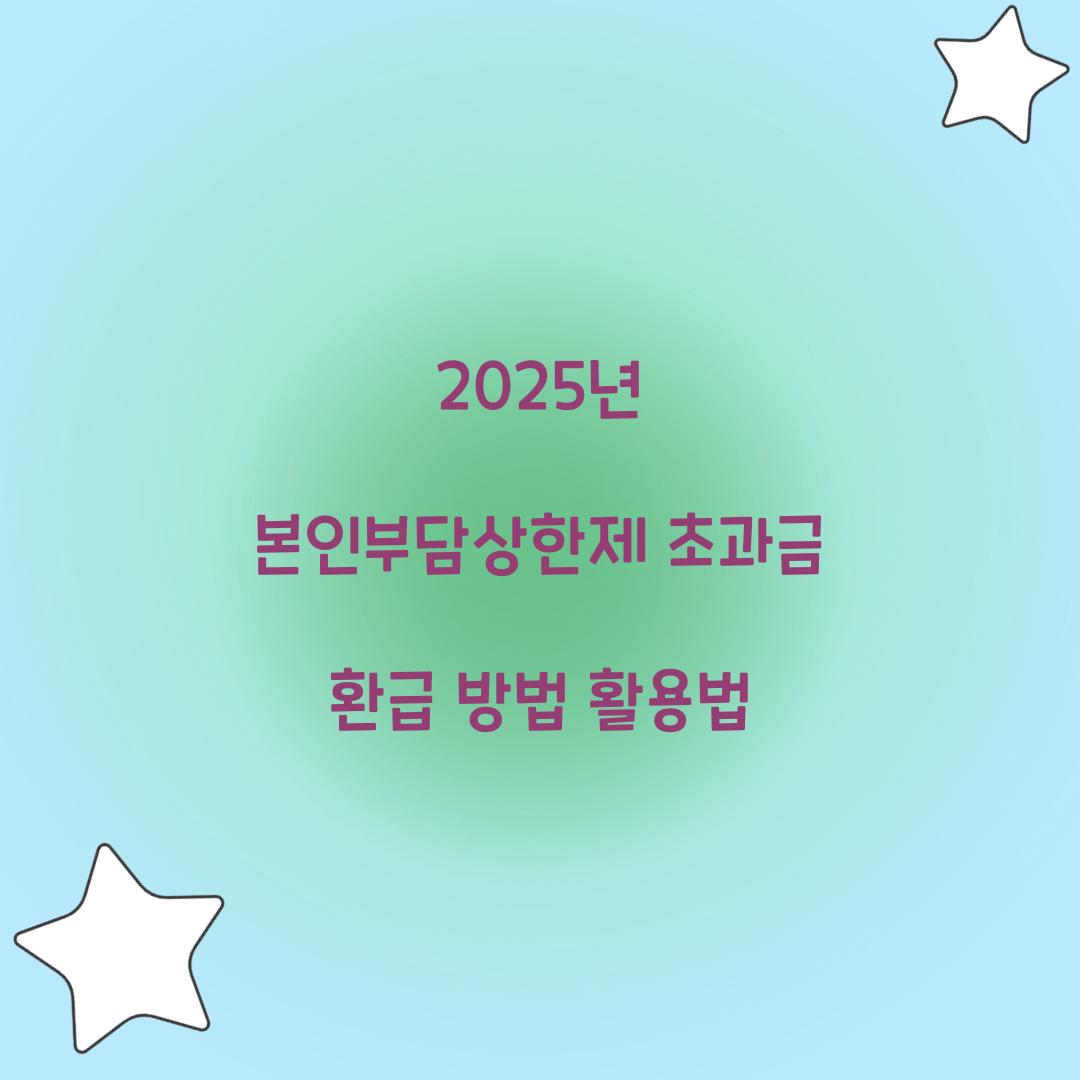 2025년 본인부담상한제 초과금 환급