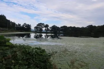 경산 가볼만한곳 베스트10 현지인 추천 필수코스_17
