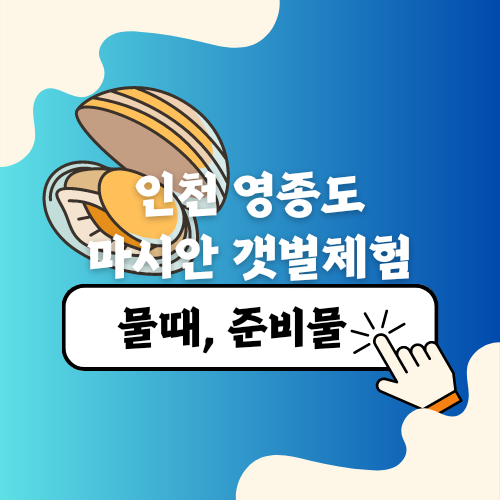 인천 영종도 마시안 갯벌체험 준비물, 물때표(체험시간)