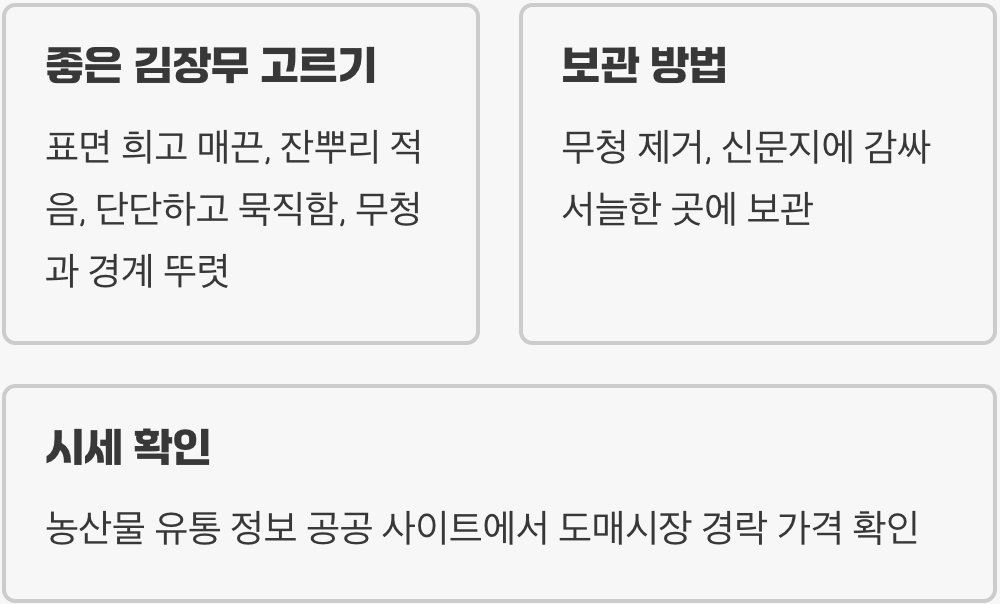 올해 김장무 가격, 언제 사는 게 가장 쌀까? (시기별 시세 예측)