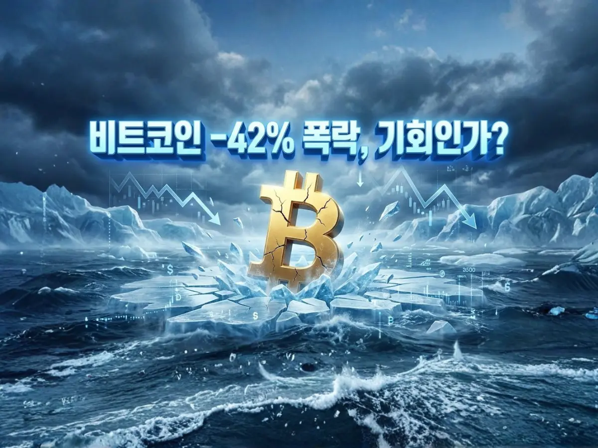 비트코인 사상 최고가 대비 -42% 폭락... 지금 던지는 사람은 '개미'뿐입니다